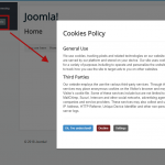 Demo (the modal window with information about the cookies policy)